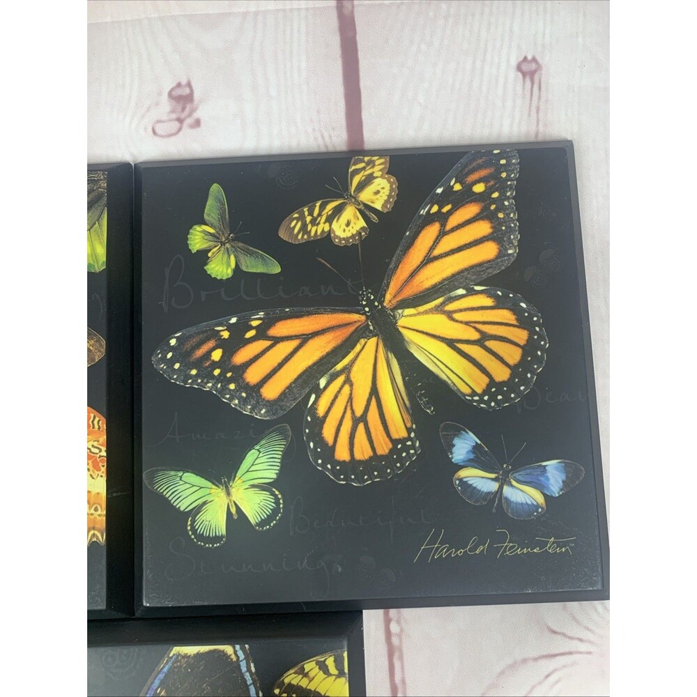 Harold Feinstein Monarch Butterfly Wall Art Set 3 Tabletop Display 2009 Colorful - Picture 3 of 9